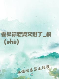 霍少你老婆又逃了