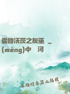 霍格沃茨之灰巫師