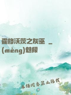 霍格沃茨之灰巫師