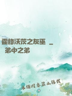 霍格沃茨之灰巫師