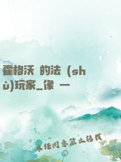 霍格沃茲的法術(shù)玩家
