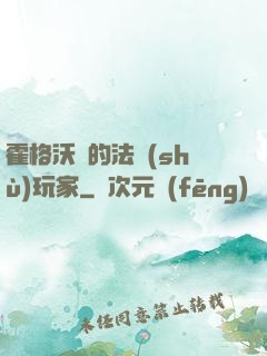霍格沃茲的法術(shù)玩家