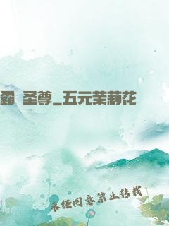 霸劍圣尊