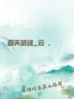 霸天武魂