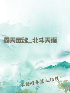 霸天武魂