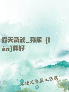 霸天武魂