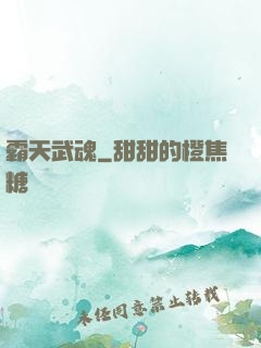 霸天武魂