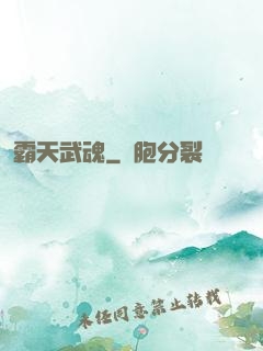 霸天武魂