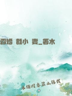 霸婚總裁小蠻妻