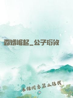 霸婿崛起
