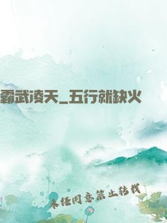 霸武凌天
