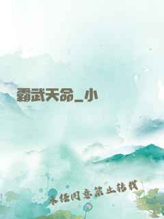 霸武天命