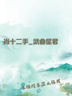 靈肖十二手