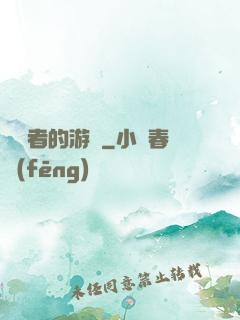 靈視者的游戲