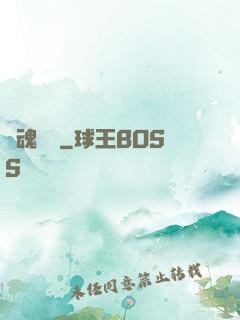 靈魂專遞