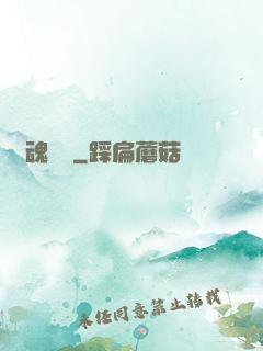 靈魂專遞