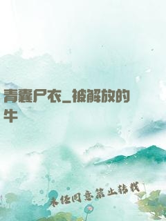 青囊尸衣