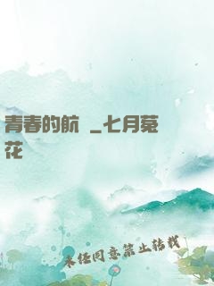 青春的航標