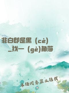 非白即是黑測(cè)試書
