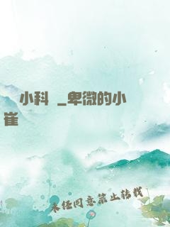 韓娛小科員