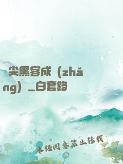 頂尖黑客成長(zhǎng)記