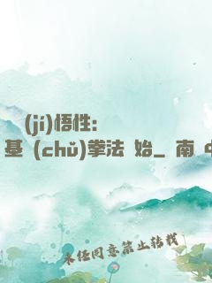 頂級(jí)悟性：從基礎(chǔ)拳法開始