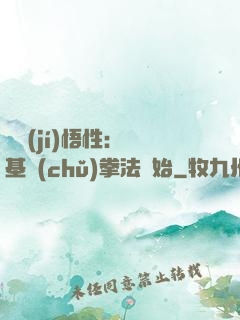 頂級(jí)悟性：從基礎(chǔ)拳法開始