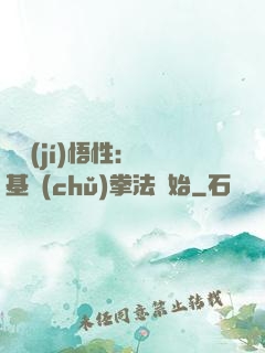 頂級(jí)悟性：從基礎(chǔ)拳法開始