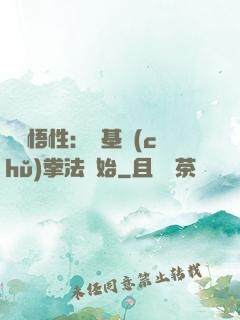 頂級悟性：從基礎(chǔ)拳法開始