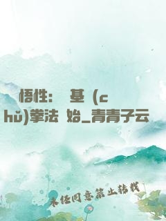 頂級悟性：從基礎(chǔ)拳法開始