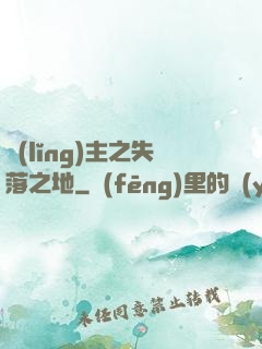 領(lǐng)主之失落之地
