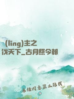 領(lǐng)主之殺伐天下