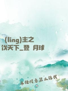 領(lǐng)主之殺伐天下
