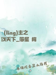 領(lǐng)主之殺伐天下