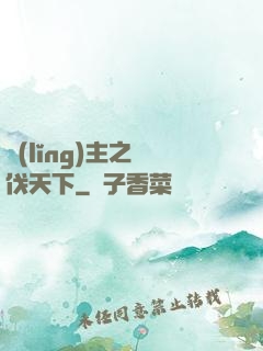 領(lǐng)主之殺伐天下