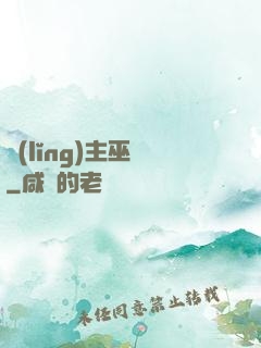 領(lǐng)主巫師