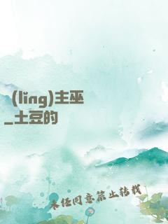 領(lǐng)主巫師