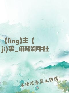 領(lǐng)主紀(jì)事