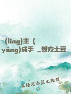 領(lǐng)主養(yǎng)成手冊