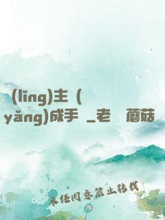 領(lǐng)主養(yǎng)成手冊