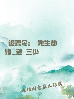 頭號追妻令：陸先生劫個婚