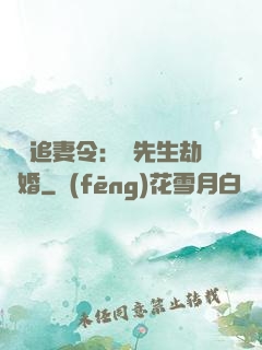 頭號追妻令：陸先生劫個婚
