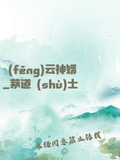 風(fēng)云神婿