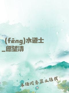 風(fēng)水道士