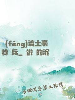 風(fēng)流土豪特種兵