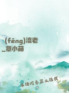 風(fēng)流老師