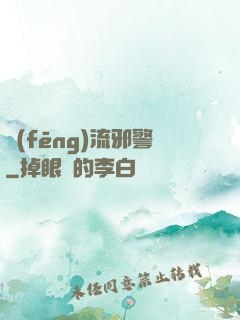 風(fēng)流邪警