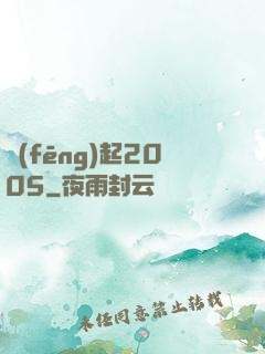 風(fēng)起2005