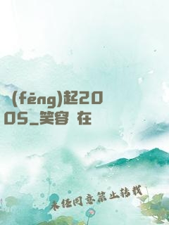 風(fēng)起2005