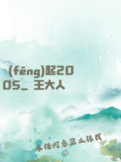 風(fēng)起2005